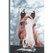 Picture Book Of Horses: Large Print Book For Seniors with Dementia or Alzheimer's