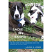 Saving Sadie and Sasha: The true story of two abandoned dogs who showed me the way home.