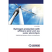 Hydrogen production with offshore wind and sea water electrolysis
