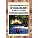 The Cambrian Explosion: Evolution's Big Bang? or Darwin's Dilemma