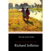 The Life of the Fields