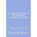 Introduction to Subtle Energy Work: Pathways to Shen Ching Instruction Manual