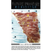 Future Primitive Revisited