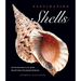 Fascinating Shells: An Introduction to 121 of the World's Most Wonderful Mollusks