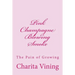 Pink Champagne Pt 1.: Smoke, Mirrors, and Life