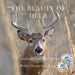 The Beauty of Deer: Photographs and Field Notes