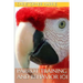 Parrot Training and Behavior 101