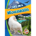 Life on a Mountain