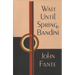 Wait Until Spring, Bandini