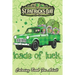 St Patricks Day Coloring Book For Adult: Loads of Luck Gnomes Funny Leprechaun An Adult Coloring Books St Patrick for Kids, Adults with Beautiful Iris