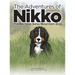 The Adventures of NIKKO: The Bernese Swiss Mountain Dog