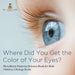 Where Did You Get the Color of Your Eyes? - Hereditary Patterns Science Book for Kids Children's Biology Books