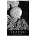Tesseract