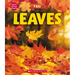Leaves (Learn About: Fall)