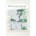 Raise Your Energy with House Plants