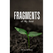 Fragments of My Soul