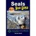 Seals For Kids