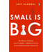 Small Is Big: The Source Code for Fulfillment, Productivity, and Extraordinary Results