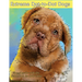 Extreme Dot-to-Dot Dogs Puzzles for Adults from 356 to 870 Dots