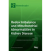Redox Imbalance and Mitochondrial Abnormalities in Kidney Disease