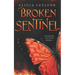 Broken Sentinel: A Spicy Dystopian Romance
