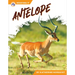 Antelope