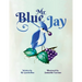 Mr. Blue Jay