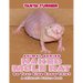 NAKED MOLE RATS Do Your Kids Know This?: A Children's Picture Book