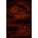 The Wolves of Langabhat
