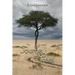 Journey of Trees
