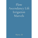 Flow Ascendancy Lift Irrigation Marvels