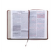 Santa Biblia de Promesas Reina Valera 1960 / Letra Gigante - 13 Puntos / Piel Especial Con Índice Y Cierre / Café // Spanish Promise Bible Rvr 1960 /