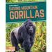 Saving Mountain Gorillas