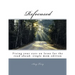 Refocused: Fixing your eyes on Jesus for the road ahead: single mom edition