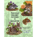 Painting Garden Animals in Gouache