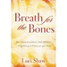 Breath for the Bones: Art, Imagination, and Spirit: Reflections on Creativity and Faith
