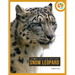 Snow Leopard