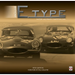 Jaguar E-Type Factory and Private Competition Cars