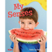 My Senses: A Wordless Nonfiction Book
