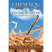 Hidden for Divine Purpose
