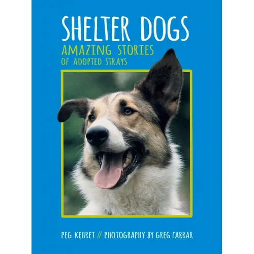 Shelter Dogs: Amazing Stories of Adopted Strays