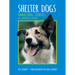 Shelter Dogs: Amazing Stories of Adopted Strays
