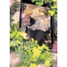 Re-Living My Life with a Boyfriend Who Doesn't Remember Me (Manga) Vol. 3