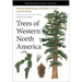 Trees of Western North America