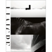 Liaigre: 12 Projects
