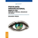 Psicología Organizacional Siglo XXI: Ampliar la mirada, organizar las ideas