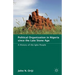 Political Organization in Nigeria Since the Late Stone Age: A History of the Igbo People
