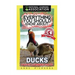 Everything You Should Know About: Ducks Faster Learning Facts