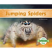 Jumping Spiders