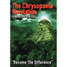 The Chrysopoeia Revelation: Become the Difference
